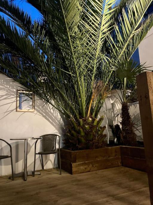 Palms Appartement *