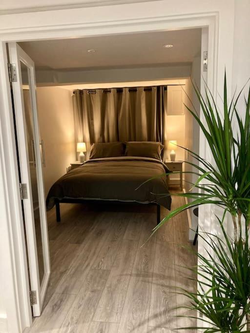 Palms * Hove